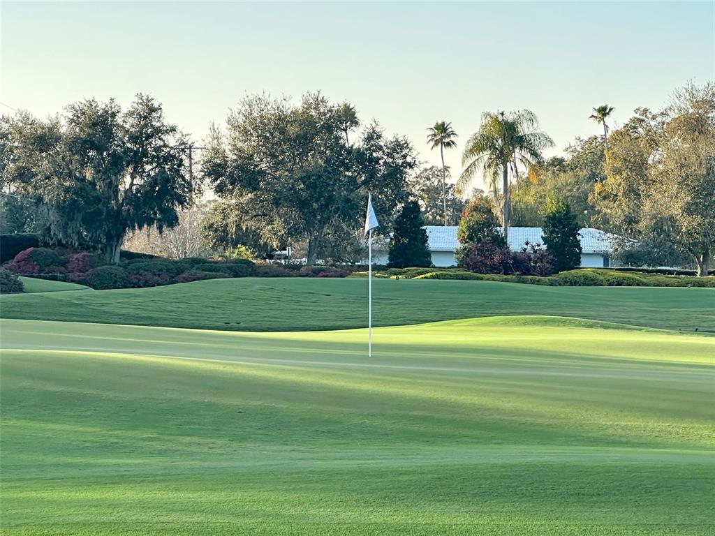 4 Hibiscus Road Belleair, FL 33756 - Photo 64 of 75