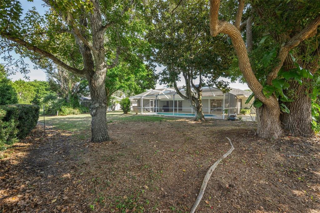 4 Hibiscus Road Belleair, FL 33756 - Photo 65 of 75 a view of a house with a tree in the yard