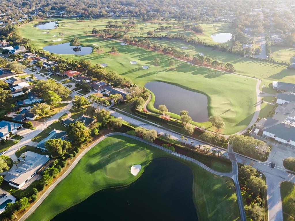 4 Hibiscus Road Belleair, FL 33756 - Photo 68 of 75