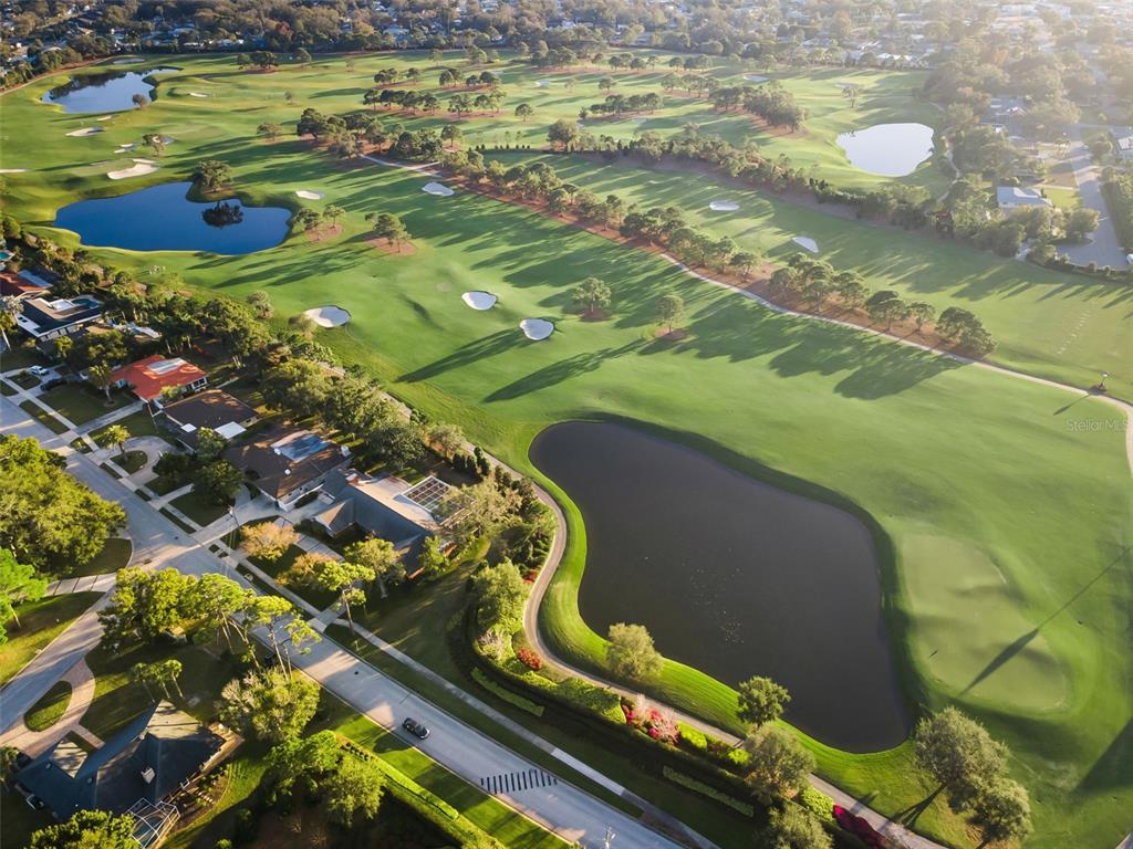 4 Hibiscus Road Belleair, FL 33756 - Photo 73 of 75 a view of a swimming pool with a yard