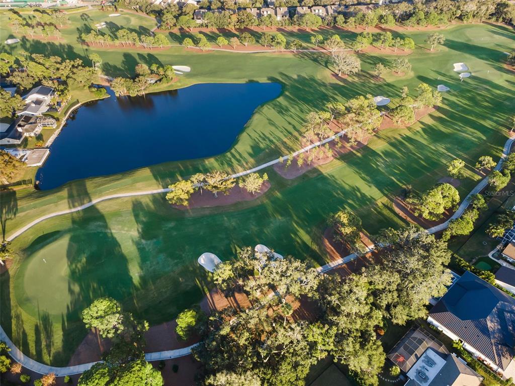 4 Hibiscus Road Belleair, FL 33756 - Photo 75 of 75