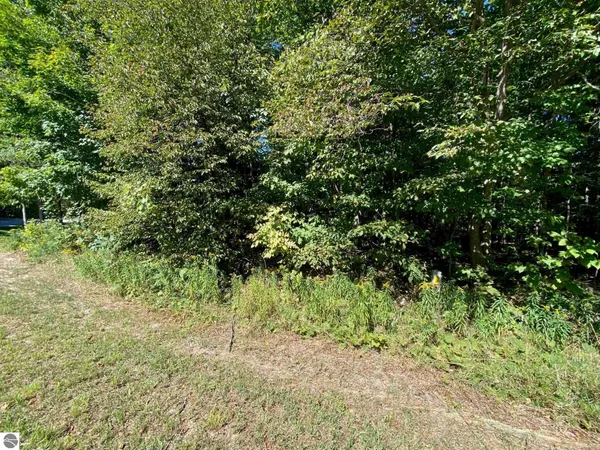 $60,000 | Lot 130 East Sugar Maple Drive, Cedar, MI 49621