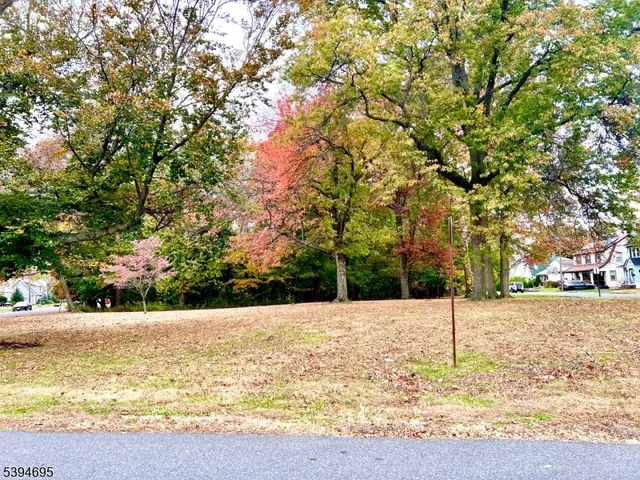 a view of a yard with trees