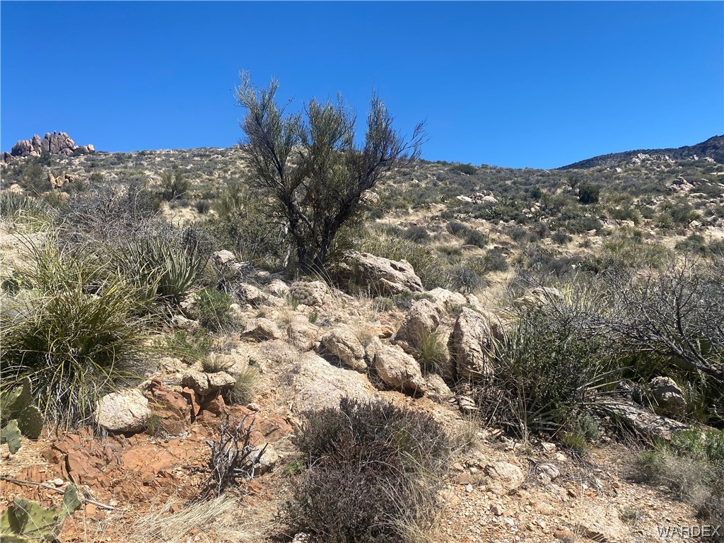 0 Rock Springs Road Hackberry, AZ 86411 - Photo 11 of 17 Gallery Image 11