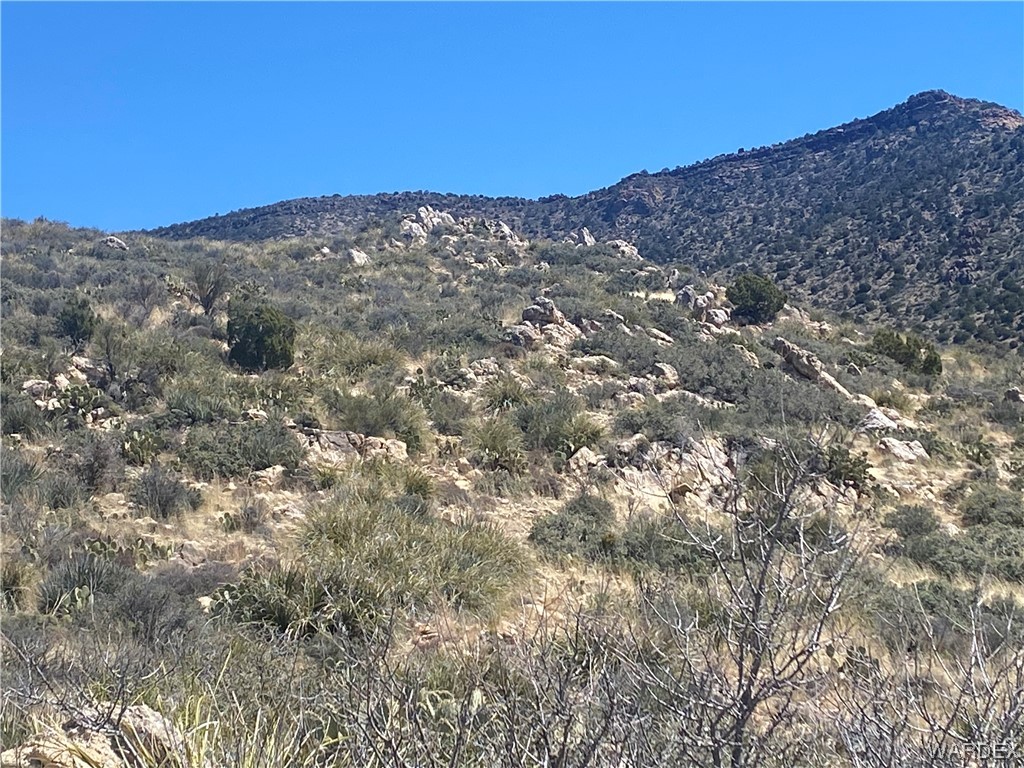 0 Rock Springs Road Hackberry, AZ 86411 - Photo 13 of 17 Gallery Image 13