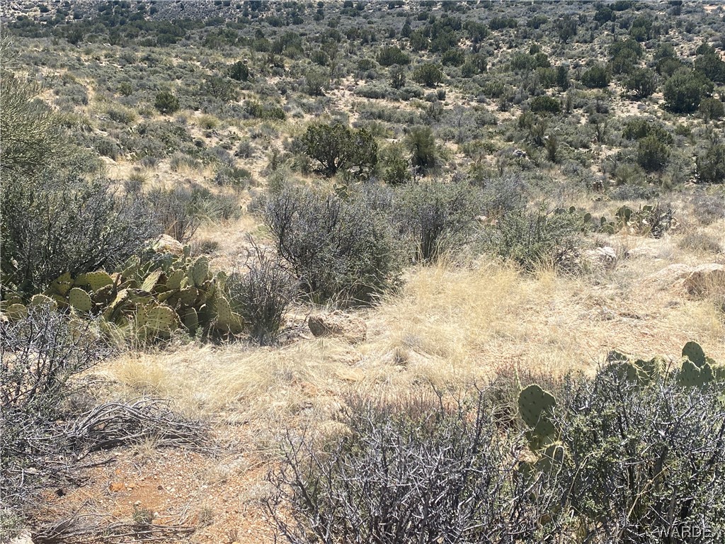 0 Rock Springs Road Hackberry, AZ 86411 - Photo 14 of 17 Gallery Image 14