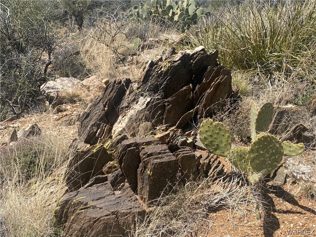 0 Rock Springs Road Hackberry, AZ 86411 - Photo 17 of 17 Gallery Image 17