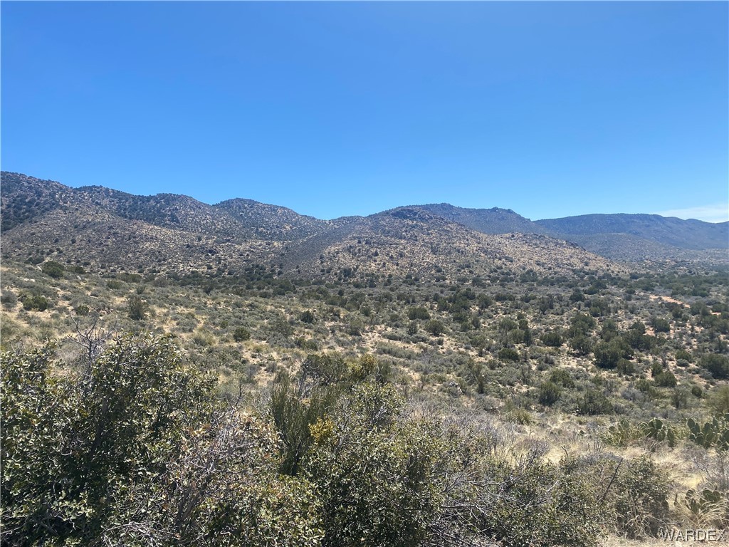 0 Rock Springs Road Hackberry, AZ 86411 - Photo 10 of 17 Gallery Image 10