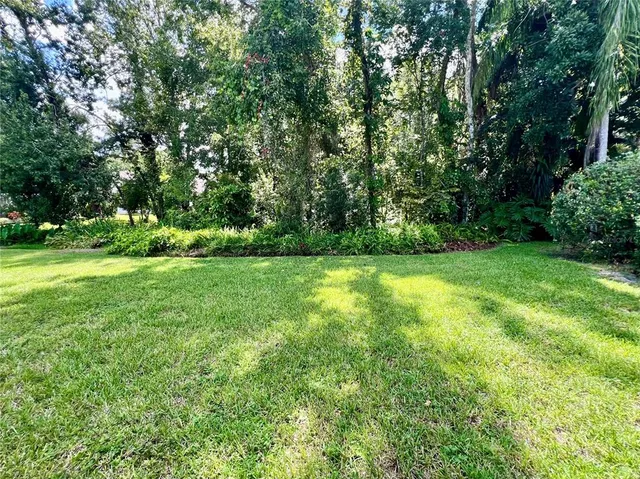 a view of a garden with trees