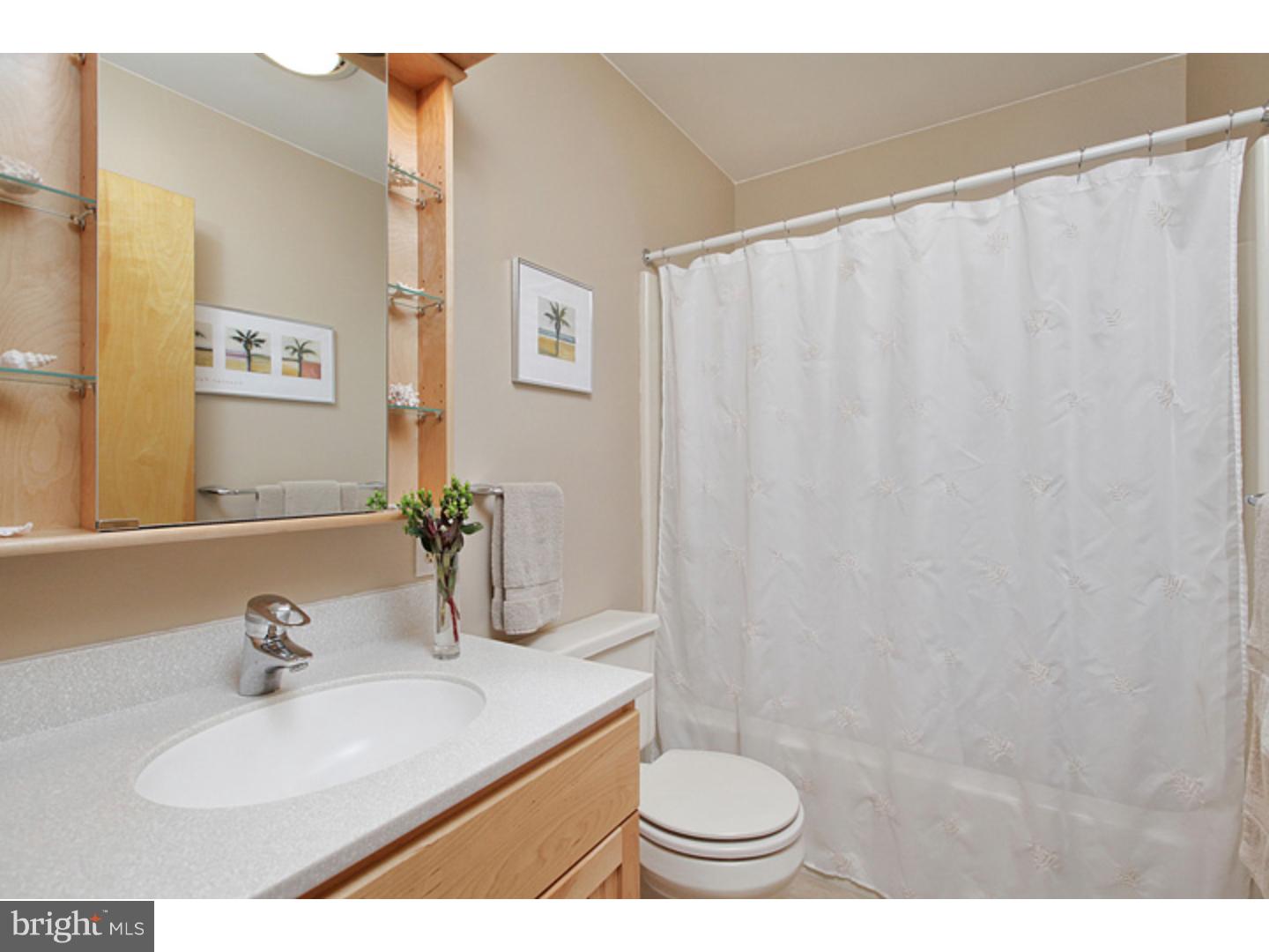 334 Perkintown Road Pedricktown, NJ 08067 - Photo 10 of 24 Bathroom