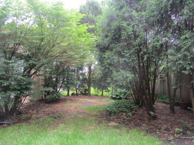 512 Highland Road Hinsdale, IL 60521 - Photo 6 of 25 a view of a forest with trees
