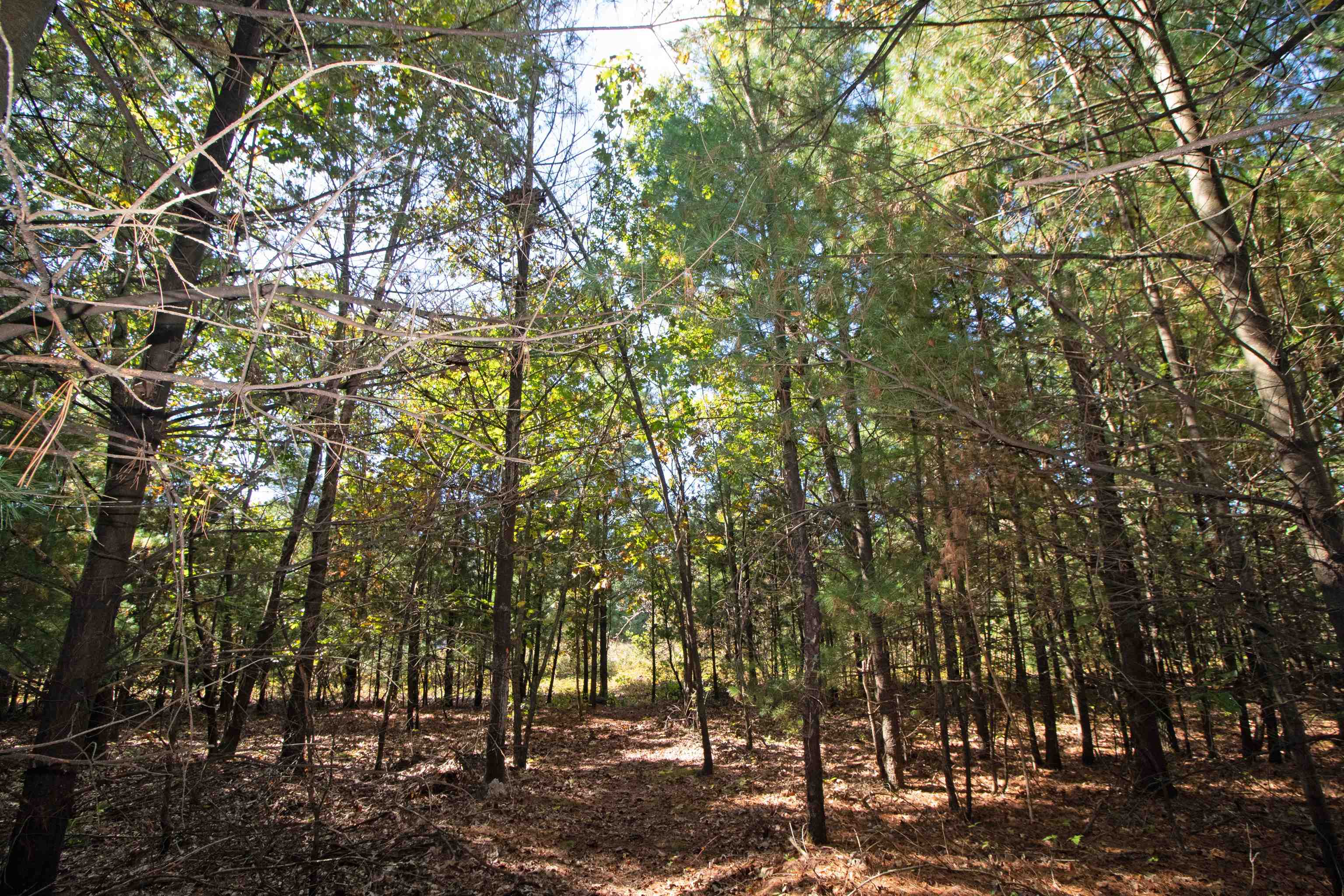 Lot 1 White Pine Spring Green Spring Green, WI 53588 - Photo 12 of 25 Gallery Image 12