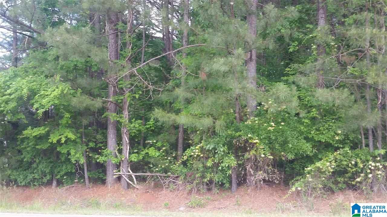 3527 McIntosh Road, Unit 12 Oxford, AL 36203 - Photo 15 of 16