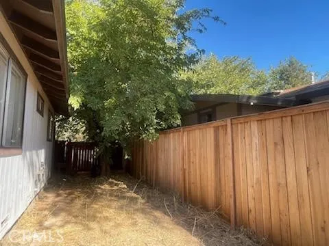 a view of a backyard with large trees and wooden fence
