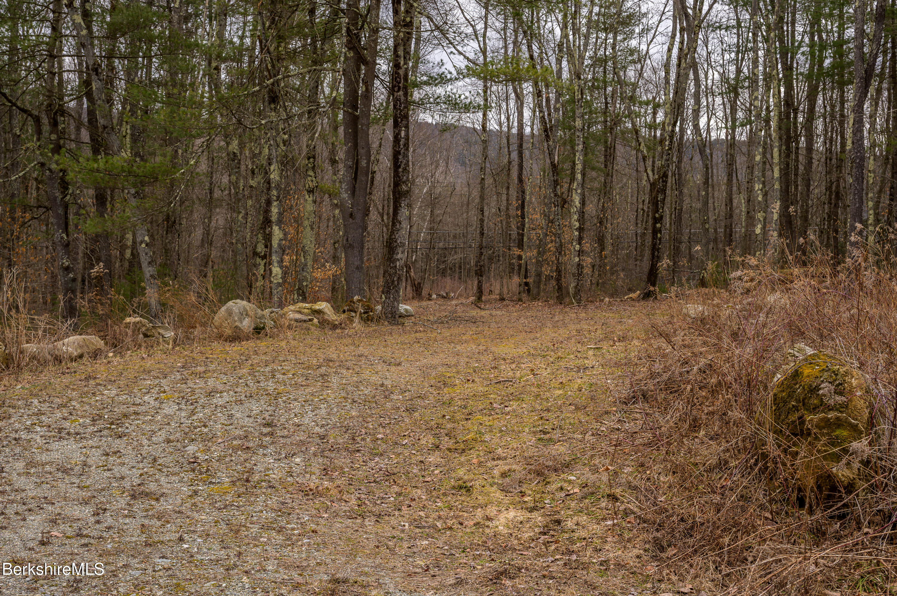 0 Swamp Road Pittsfield, MA 01201 - Photo 5 of 30 Print - 00 Swamp Rd Richmond MA 01254-84