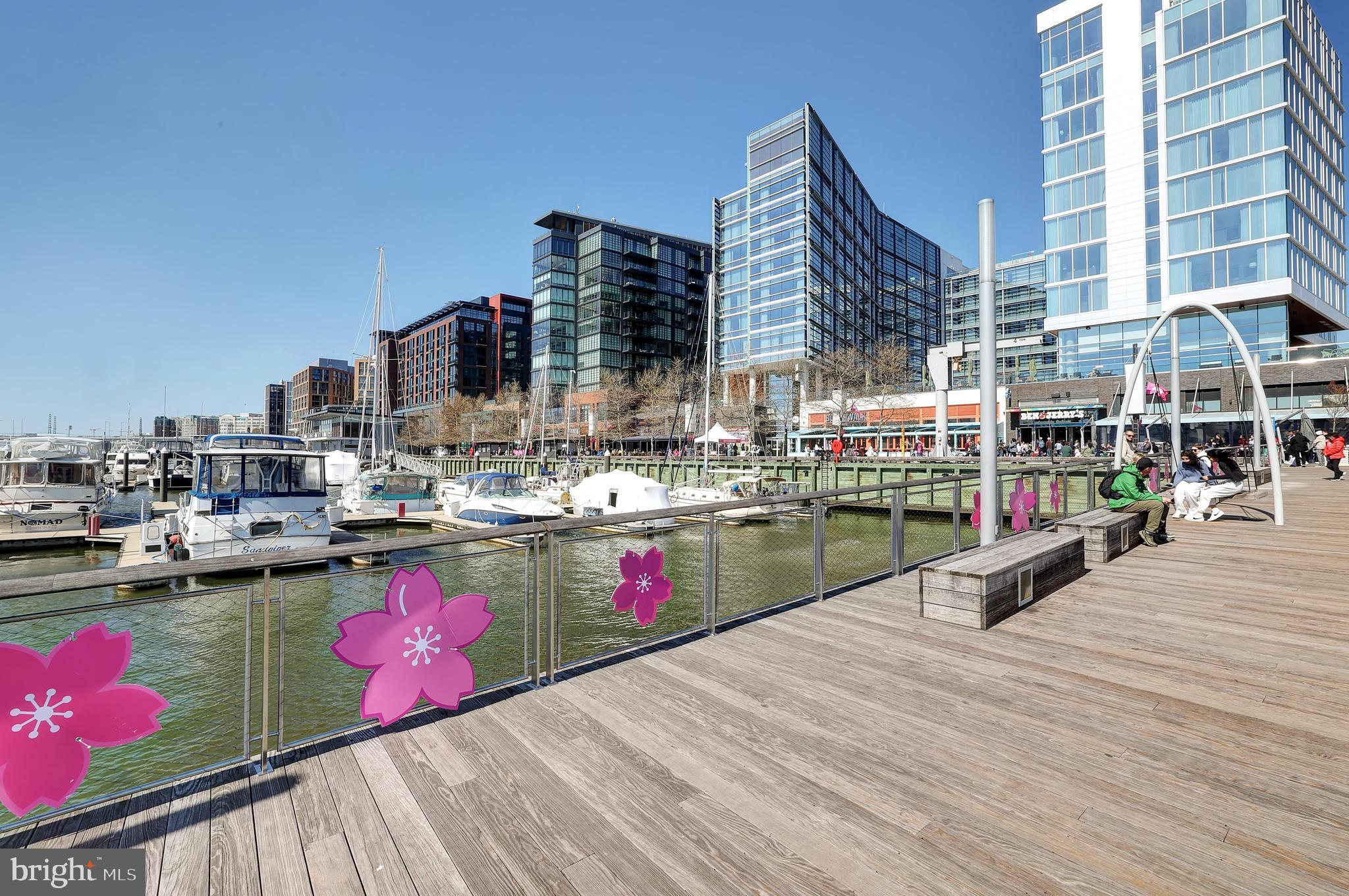 745 3rd Street Southwest, Unit 403 Washington, DC 20024 - Photo 30 of 33 Waterfront Fun!
