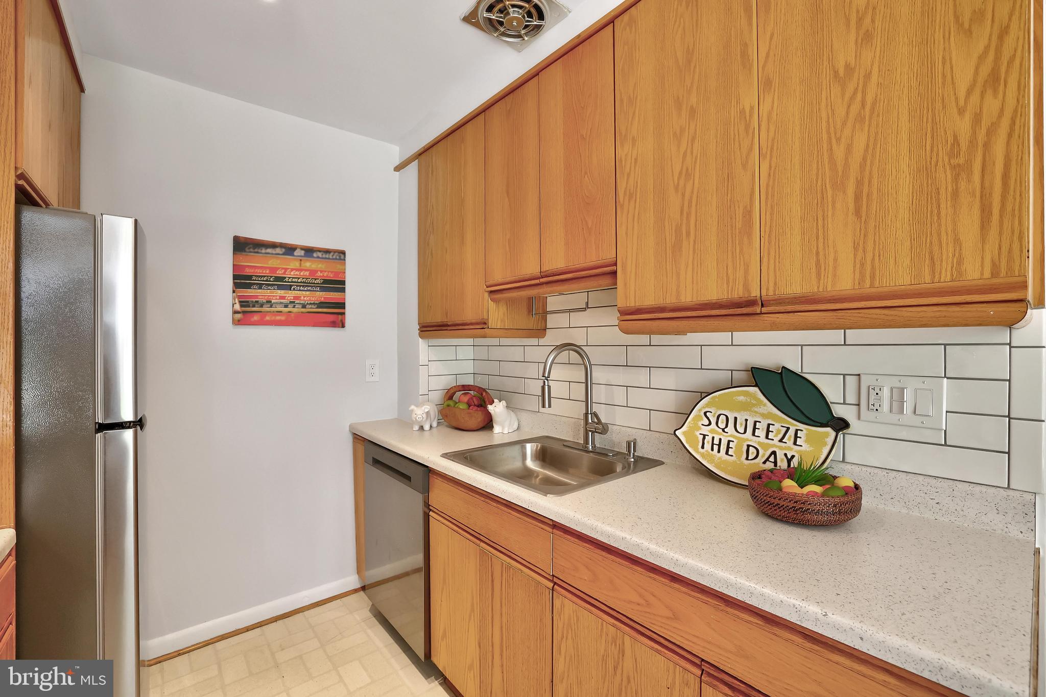 745 3rd Street Southwest, Unit 403 Washington, DC 20024 - Photo 10 of 33 New Backsplash and Counters
