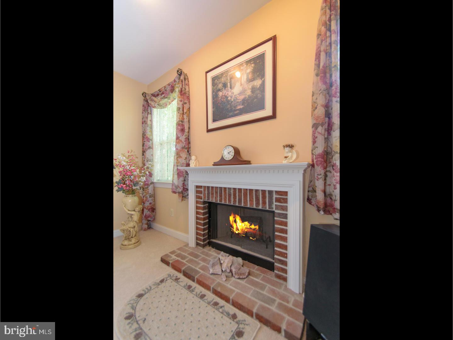1022 Branch Mill Road Telford, PA 18969 - Photo 11 of 21 Fireplace