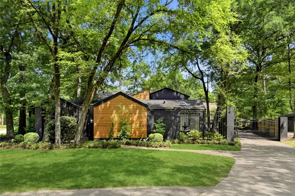 a view of a yard with plants and large trees