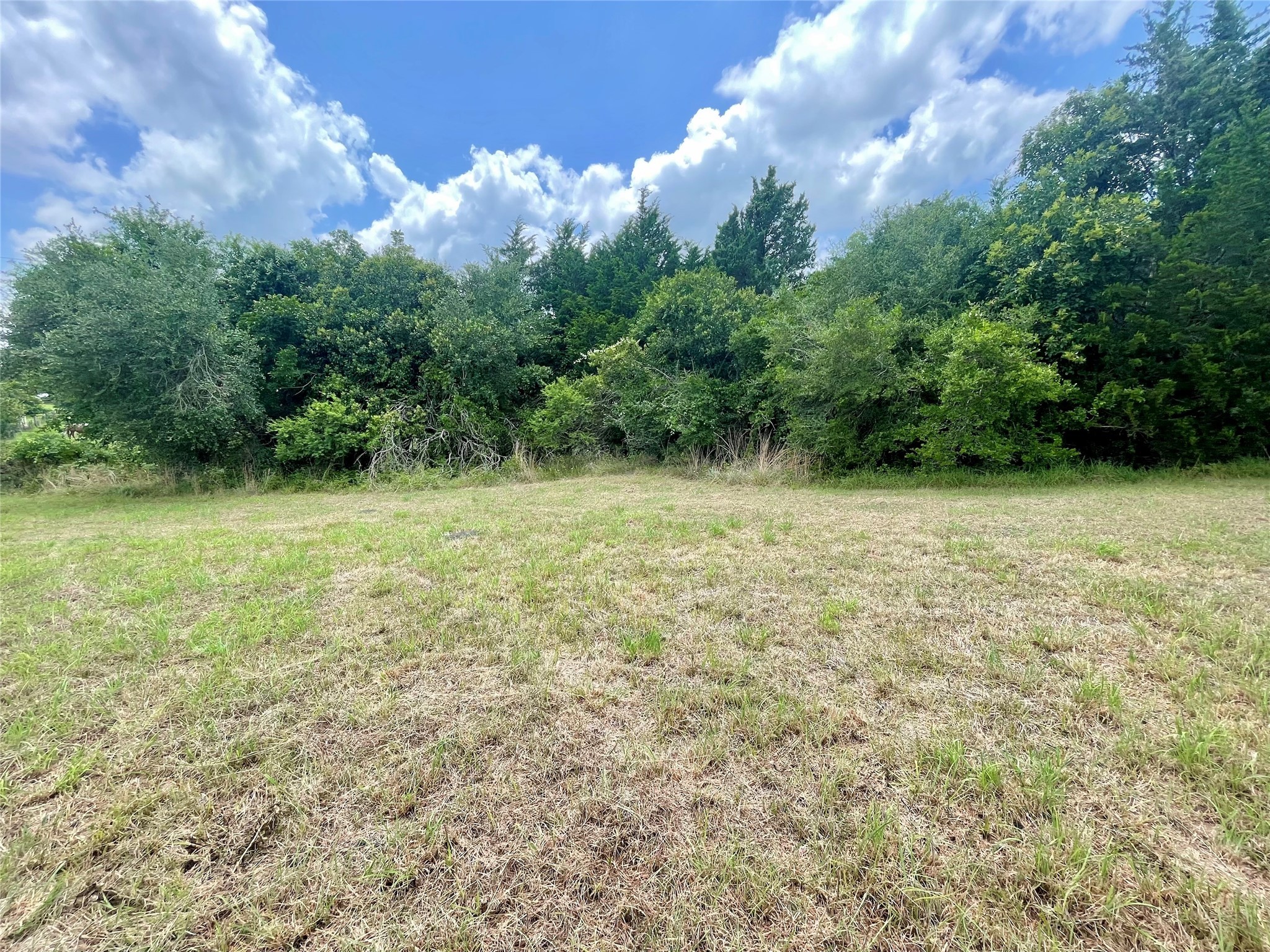 3395 Success Court Brenham, TX 77833 - Photo 8 of 10 a view of a green yard