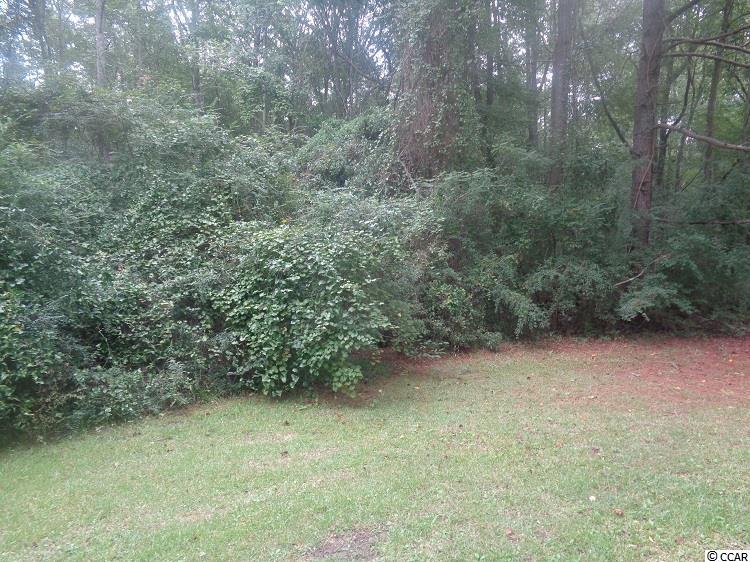 288 Old Wilson Road Longs, SC 29568 - Photo 7 of 9 Gallery Image 7