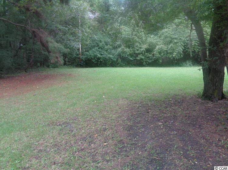288 Old Wilson Road Longs, SC 29568 - Photo 8 of 9 Gallery Image 8