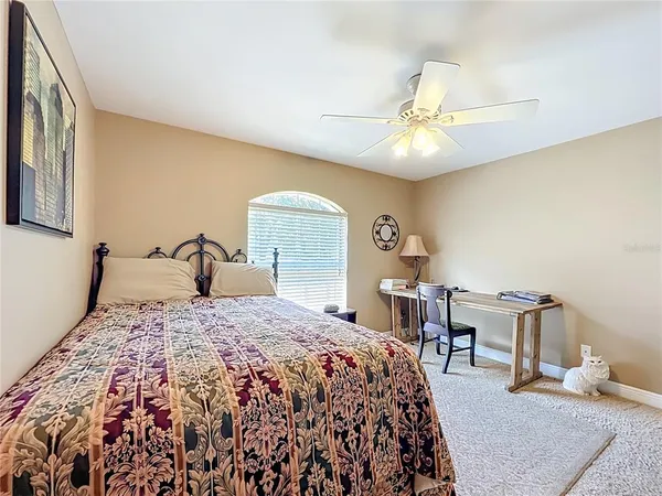 a view of a swimming pool with a garden