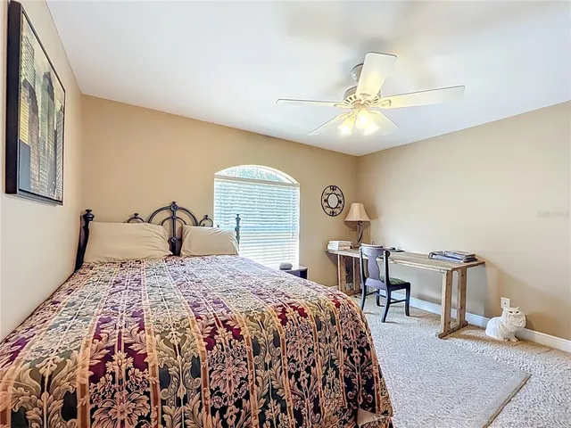 a view of a swimming pool with a garden