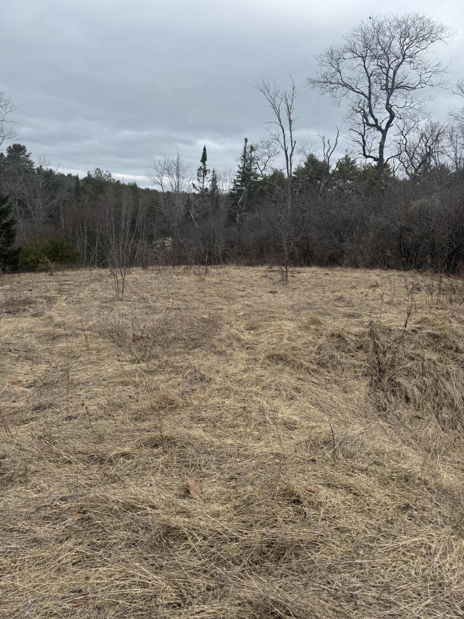 213 Sheepscot Road Newcastle, ME 04553 - Photo 4 of 4 IMG_2527