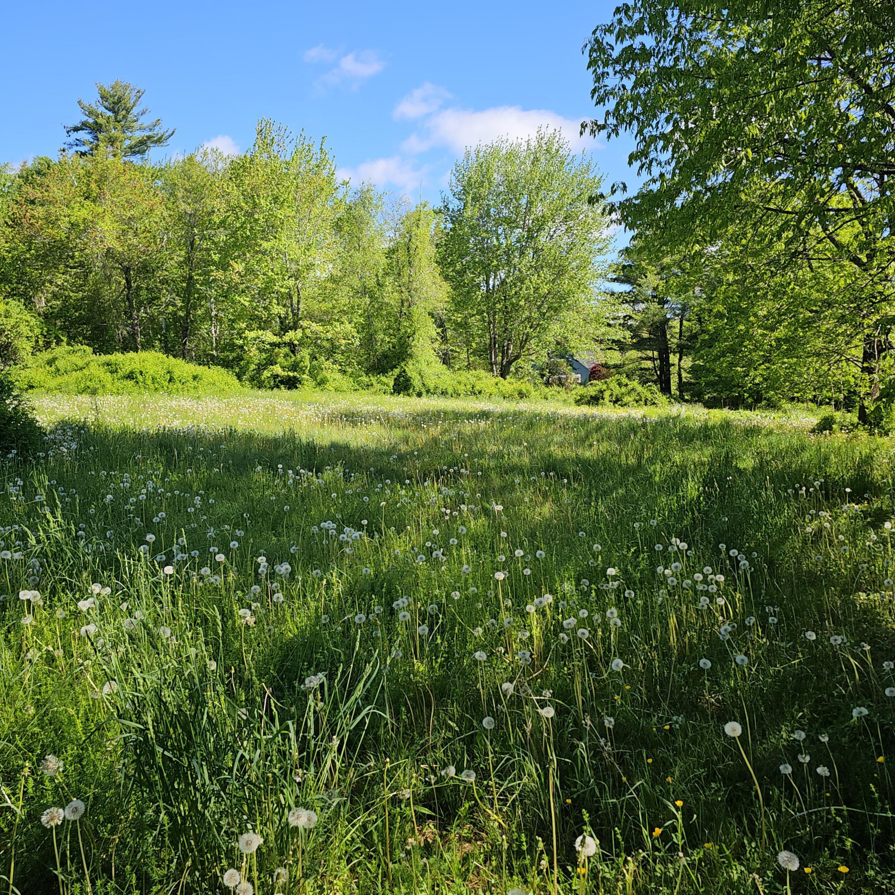 44 Dunbar Road Thomaston, ME 04861 - Photo 11 of 24 20240529_091843 (1)