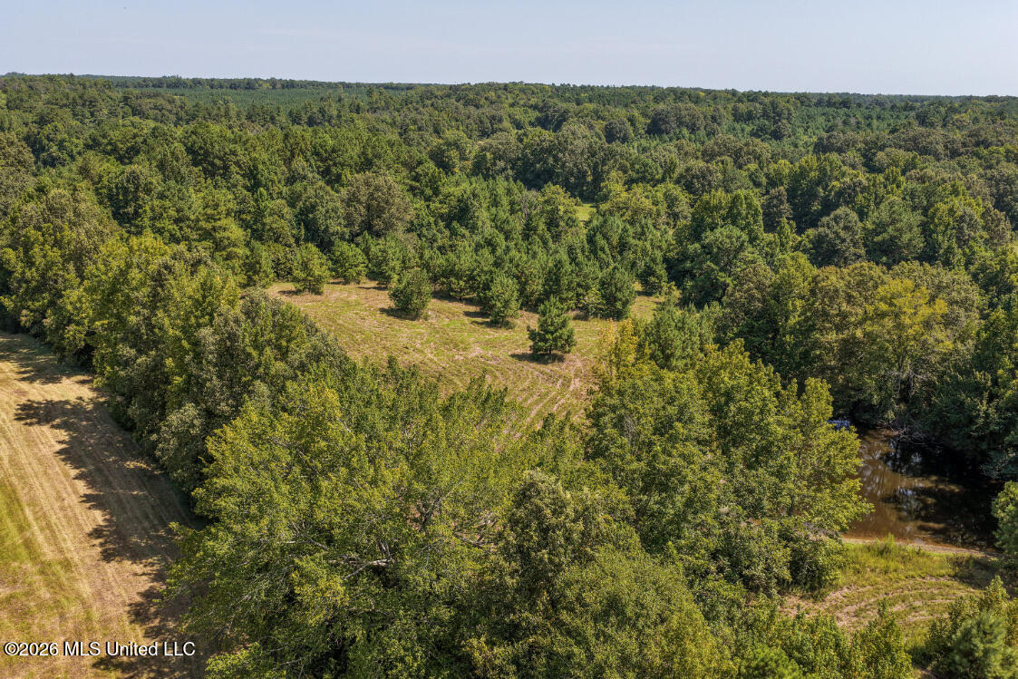 5056 Bethesda Road Crystal Springs, MS 39059 - Photo 23 of 48 DJI_20260818112810_0725_D