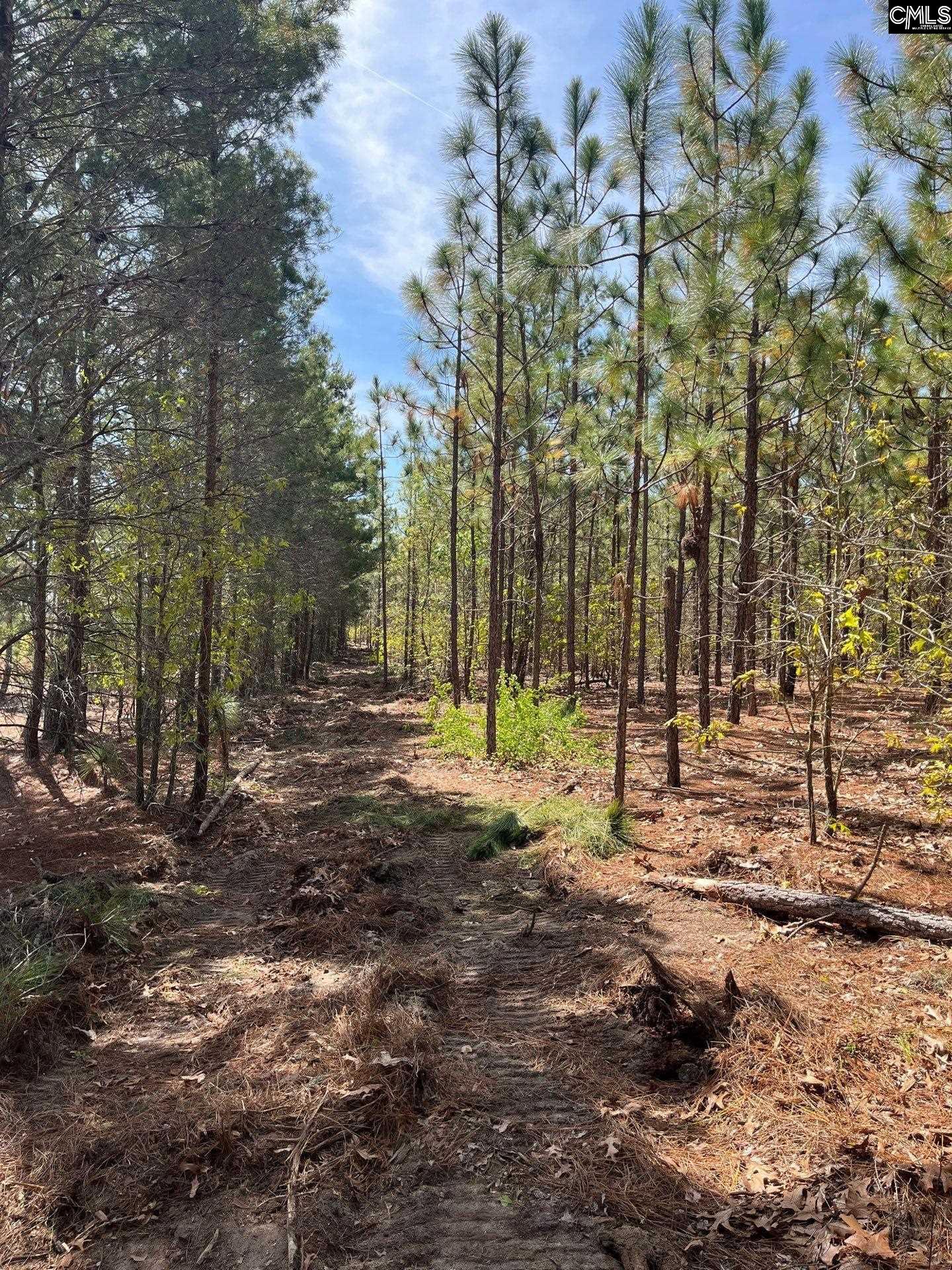 5 Beaver Dam Road Cassatt, SC 29032 - Photo 15 of 17