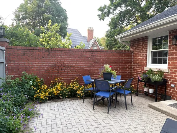 a view of a garden with plants