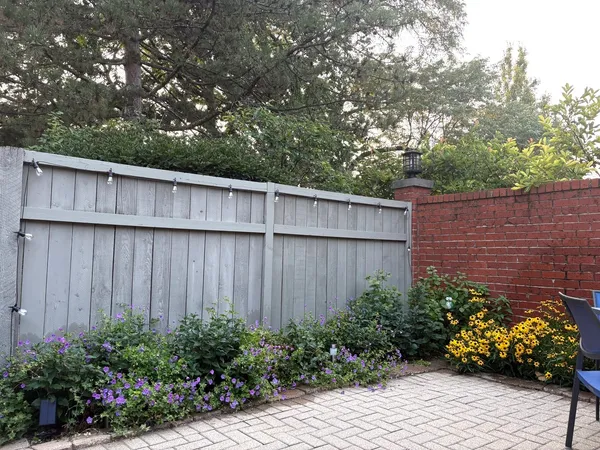 a view of a chairs and table in backyard