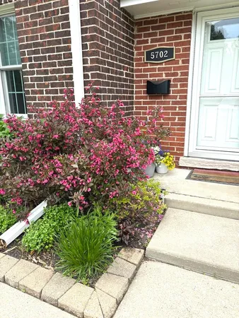 a view of a entryway door front of house