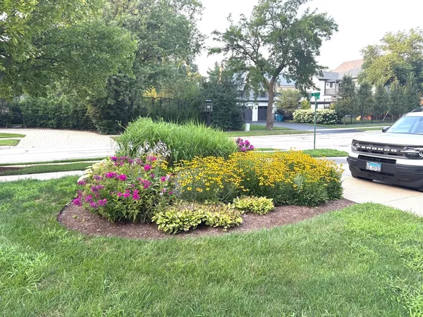 a view of a garden with flowers and trees