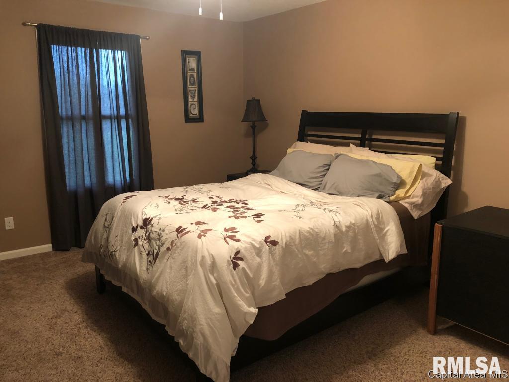 603 North Main Street Athens, IL 62613 - Photo 13 of 16 Gallery Image 13
