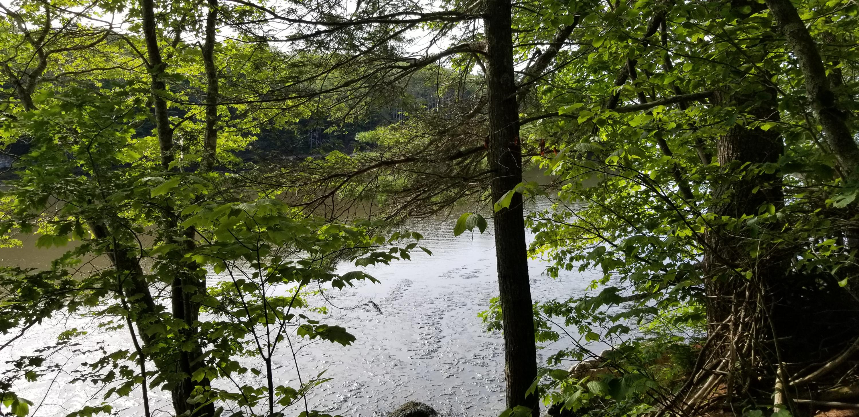 Lot D Youngs Point Road South Wiscasset, ME 04578 - Photo 11 of 12 20210729_085023