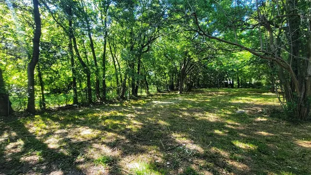 a view of outdoor space with trees all around