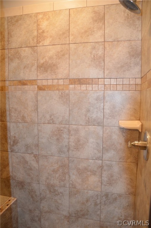 1128 Signboard Road Bumpass, VA 23024 - Photo 13 of 20 a bathroom with a shower