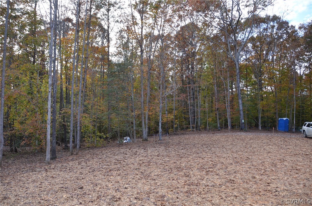 1128 Signboard Road Bumpass, VA 23024 - Photo 6 of 20 a backyard of a house with lots of green space