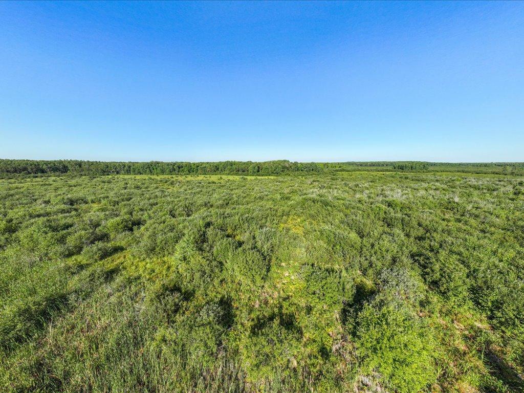 Tbd Meadowview Road Pierz, MN 56364 - Photo 12 of 30 Gallery Image 12