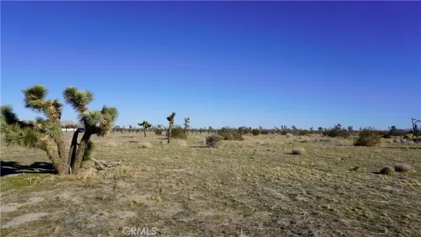 a view of beach and ocean