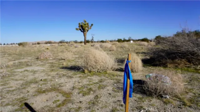 $90,000 | 0 118th Sun Village, Kingsburg, CA 93631