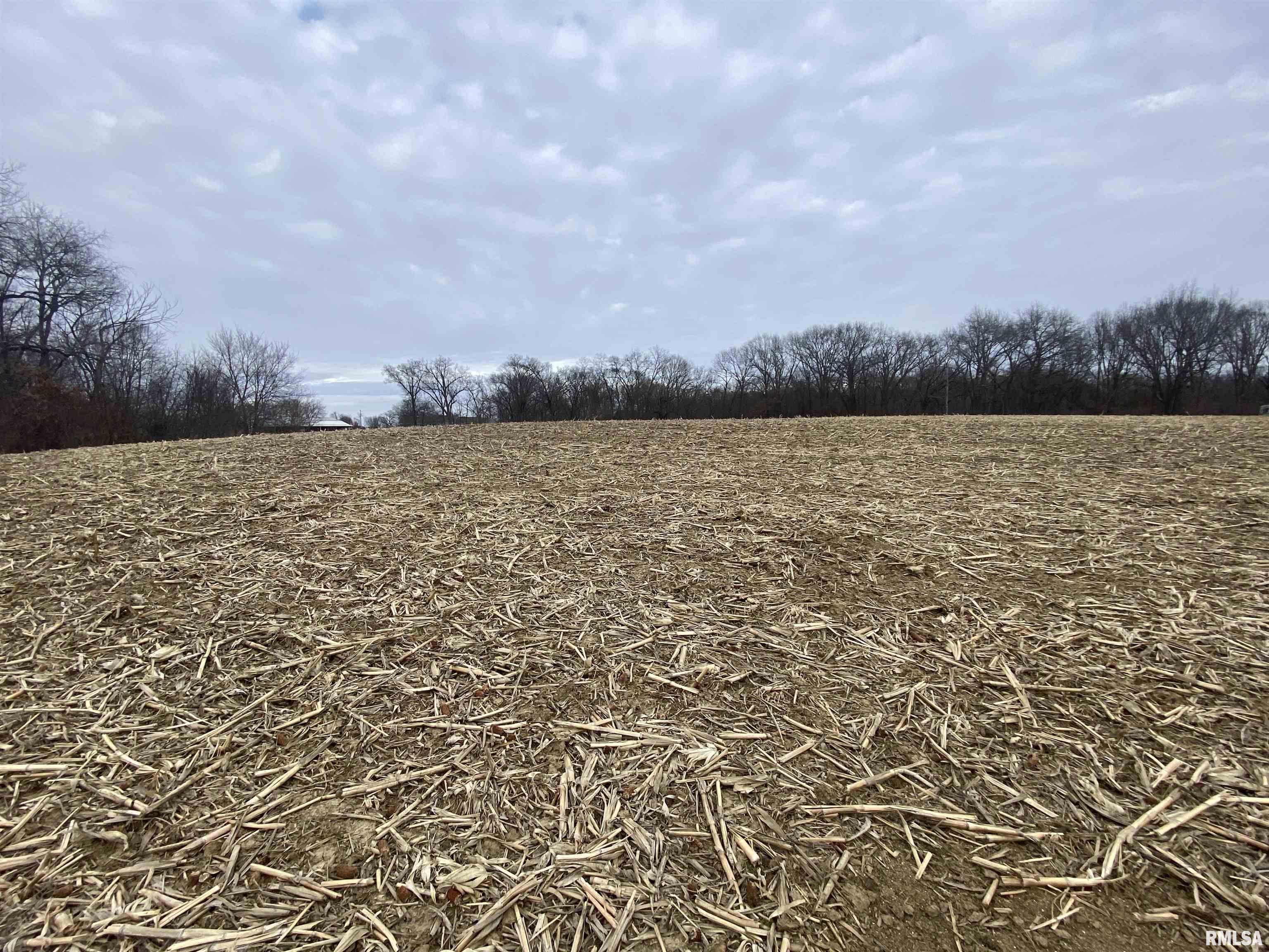 0 North Bitner Road Glasford, IL 61533 - Photo 23 of 36 Gallery Image 23