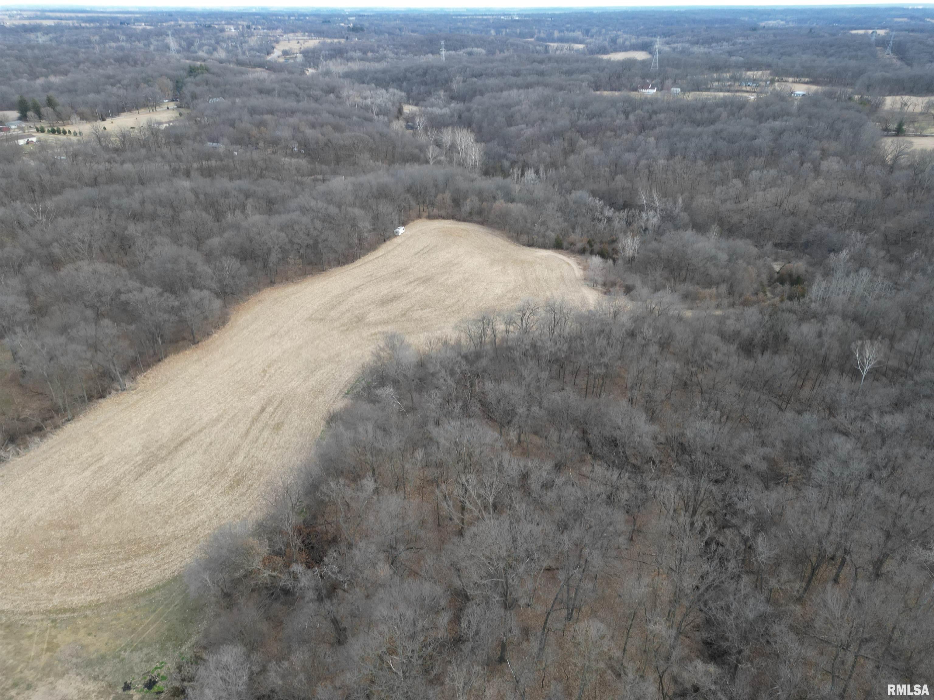 0 North Bitner Road Glasford, IL 61533 - Photo 3 of 36 Gallery Image 3