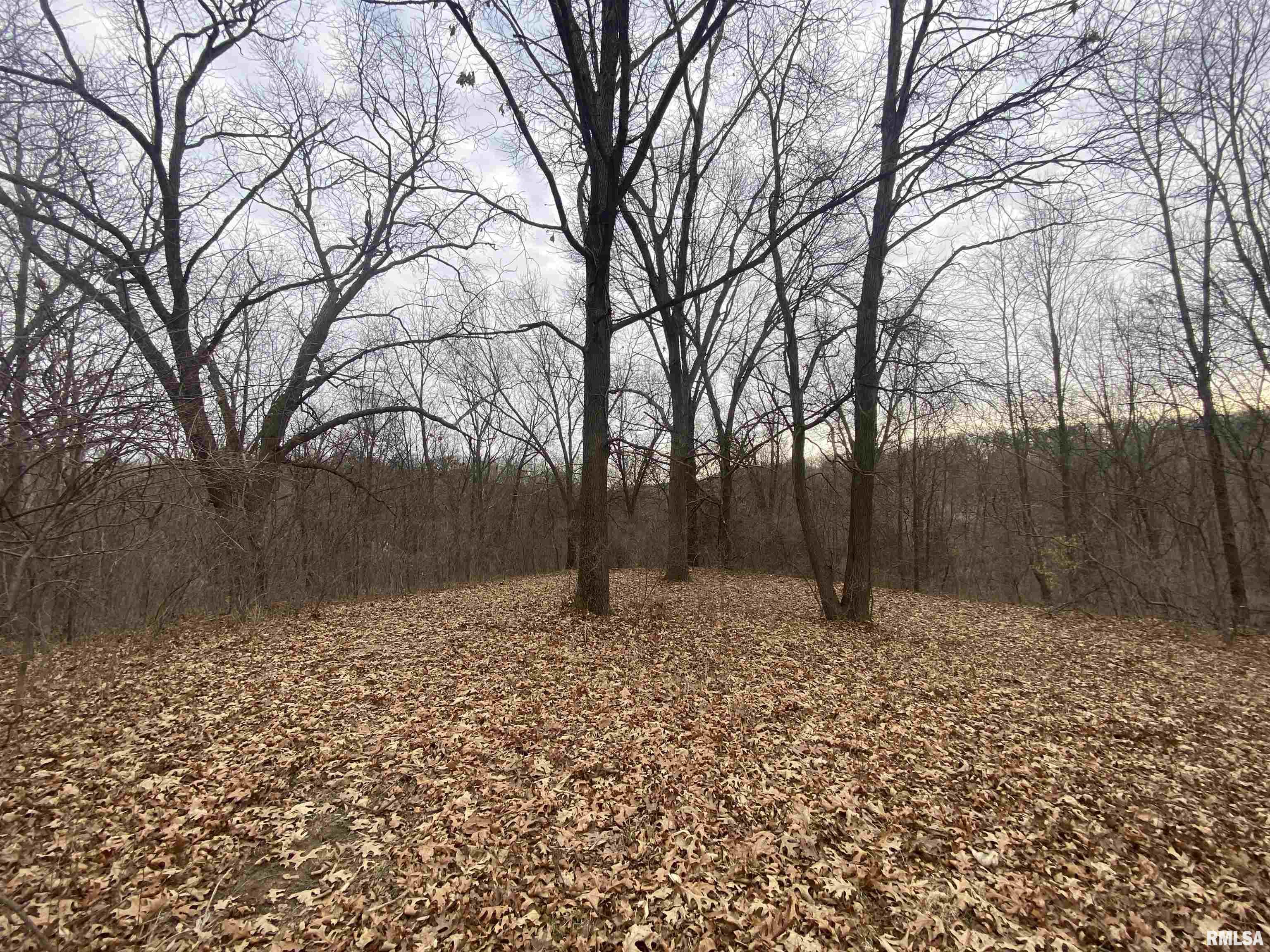 0 North Bitner Road Glasford, IL 61533 - Photo 34 of 36 Gallery Image 34