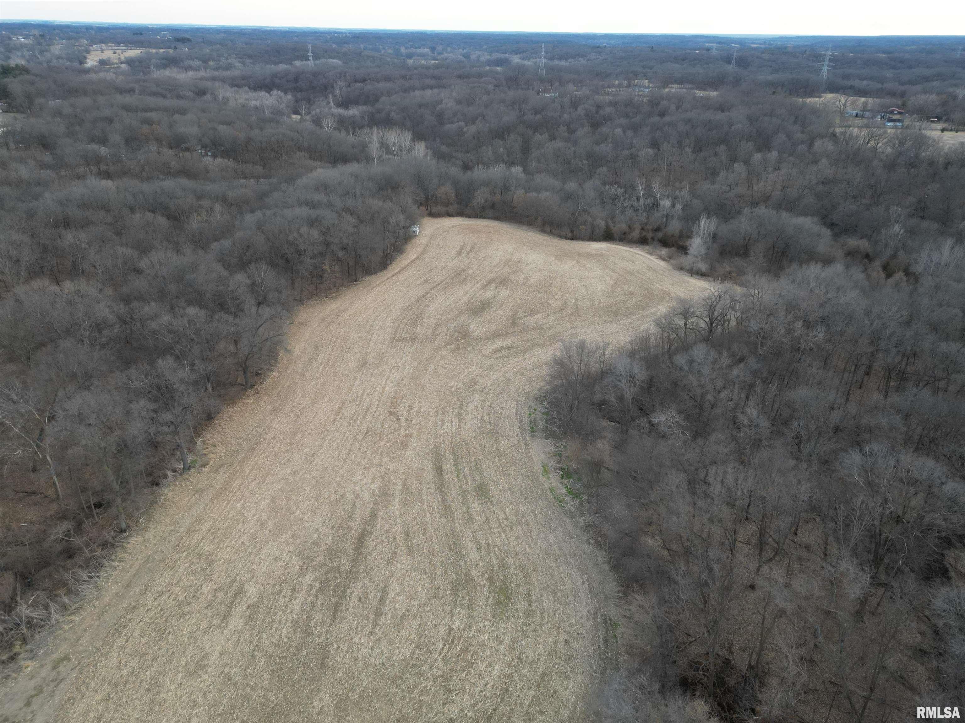 0 North Bitner Road Glasford, IL 61533 - Photo 4 of 36 Gallery Image 4