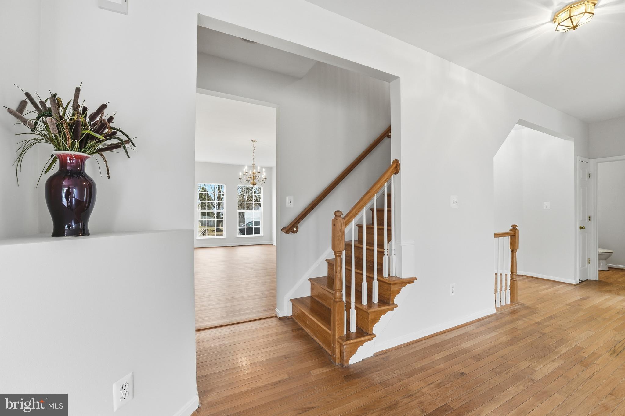 901 Woodcrest Loop Culpeper, VA 22701 - Photo 30 of 61 a view of entryway with wooden floor