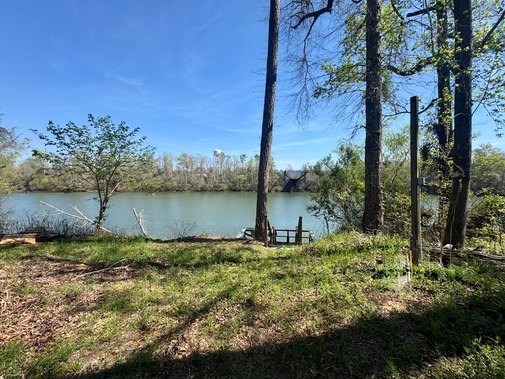 80 Jowers Road Gordon, AL 36343 - Photo 9 of 29